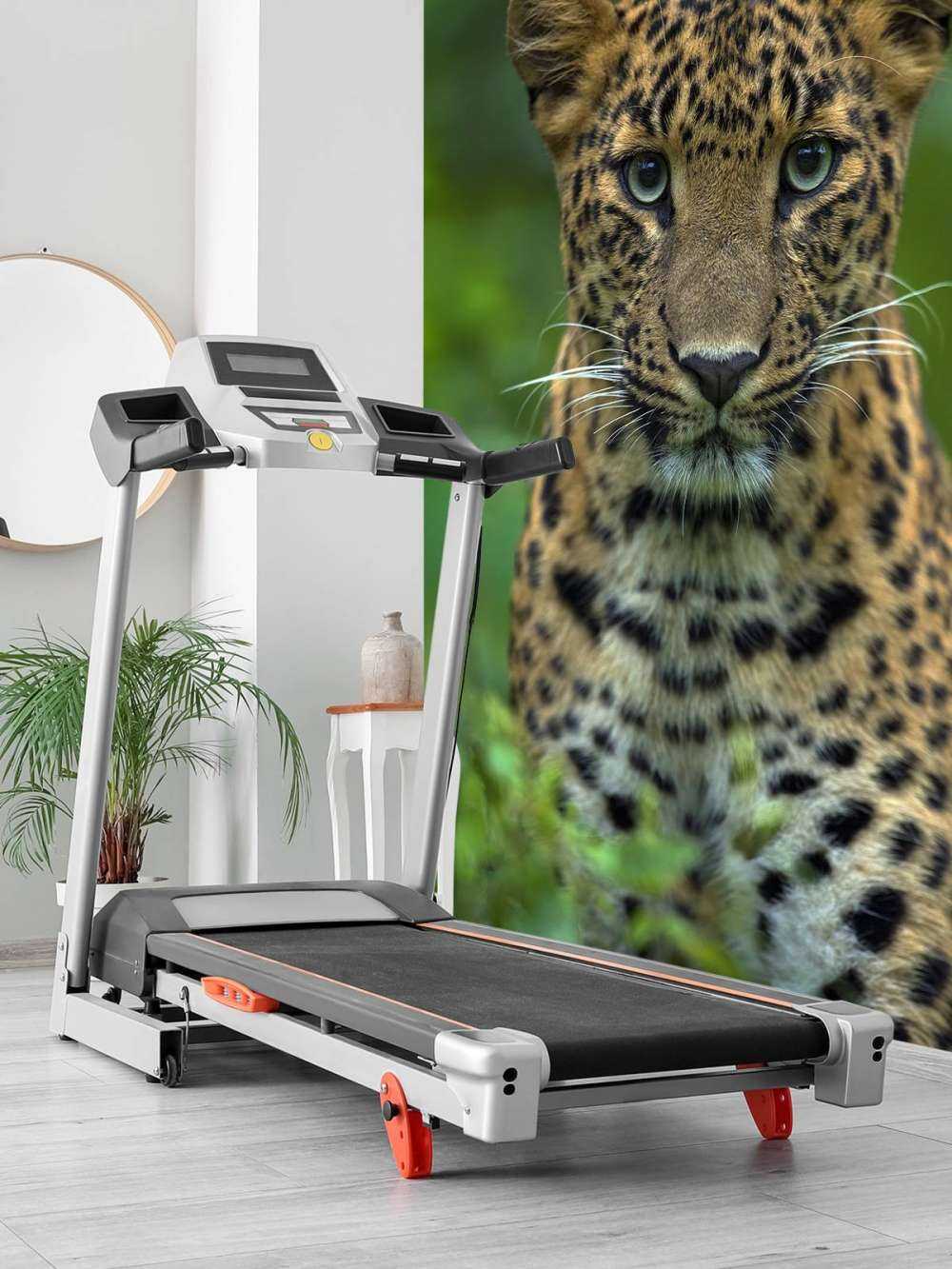 Fokuseret leopard