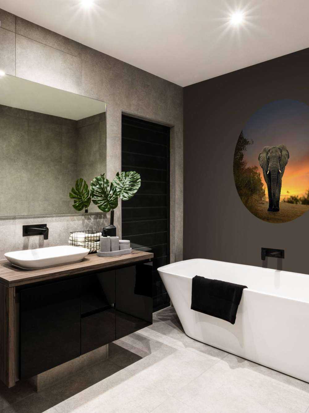 Elefant i solnedgangen