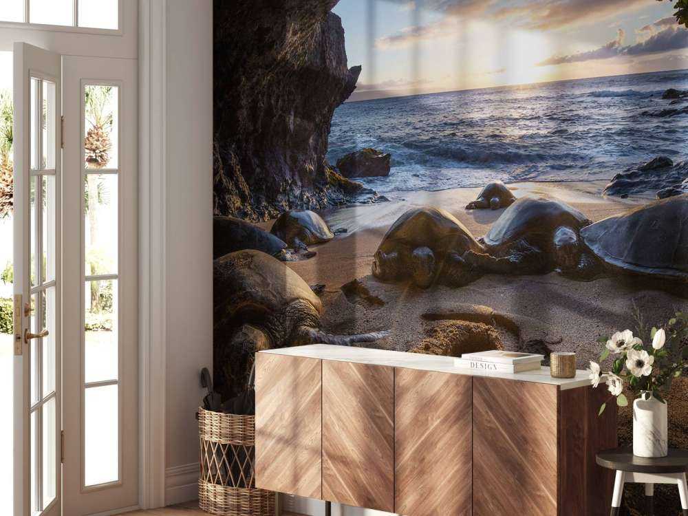 Skildpadder i en grotte