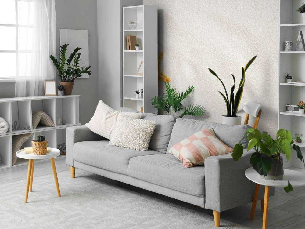 Søstjerne på hvidt sand