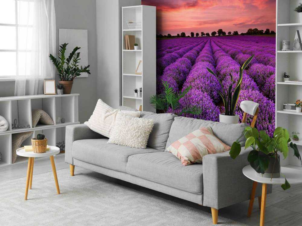 Lavendel felt