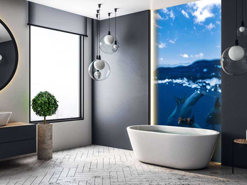 Between air and water with the dolphins