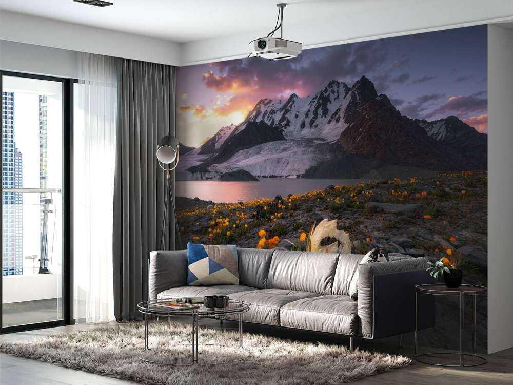 Morning at Saussurea