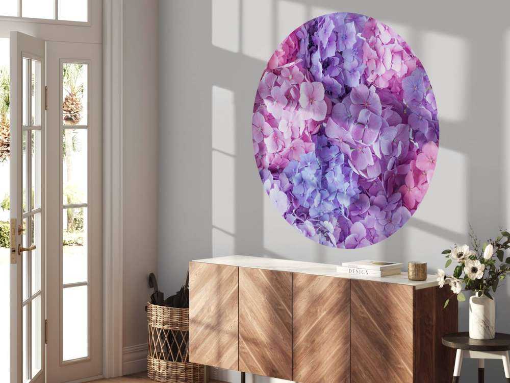 Farverige hortensiaer