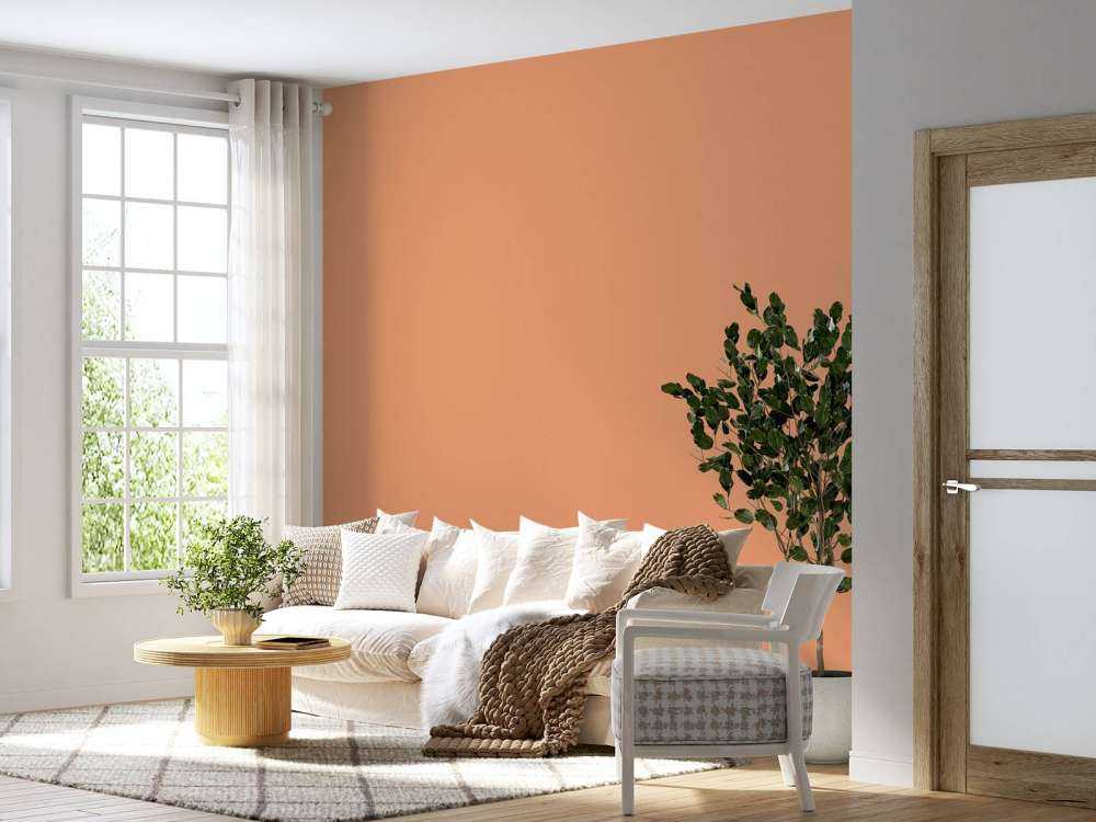 Pink orange