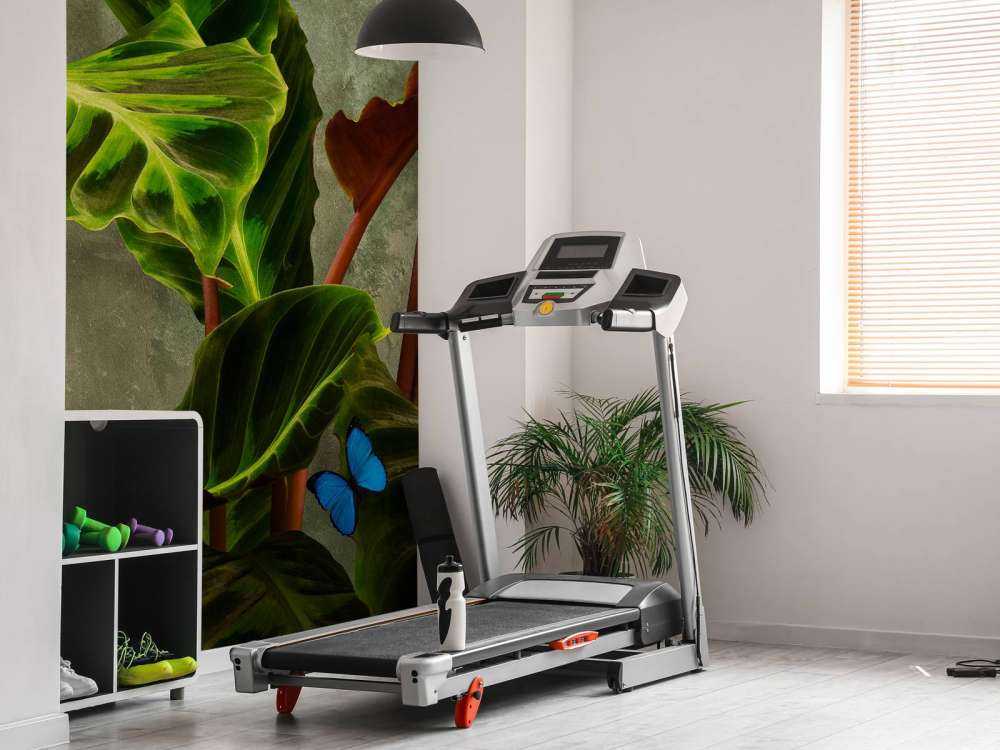 Grøn plante med sommerfugle