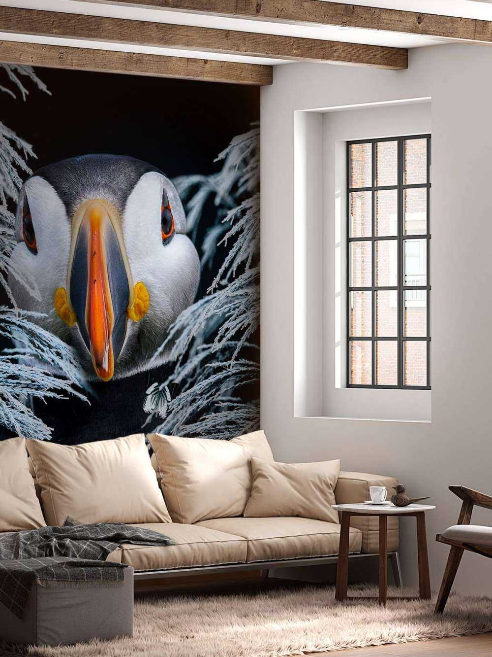 Atlantic Puffins Portræt