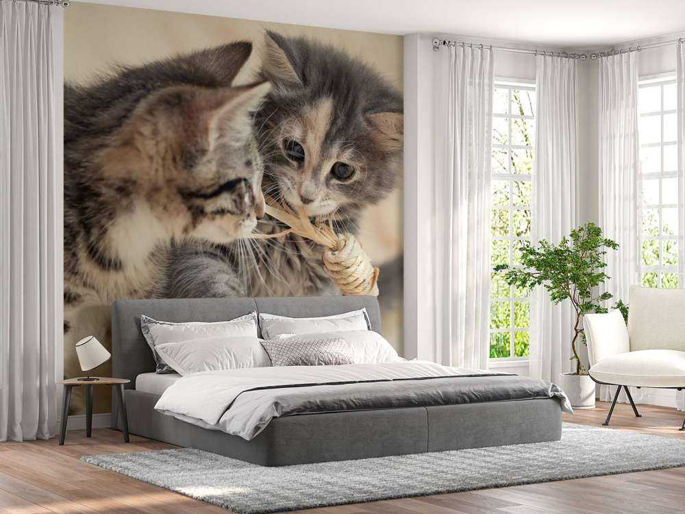 Leker kattunger