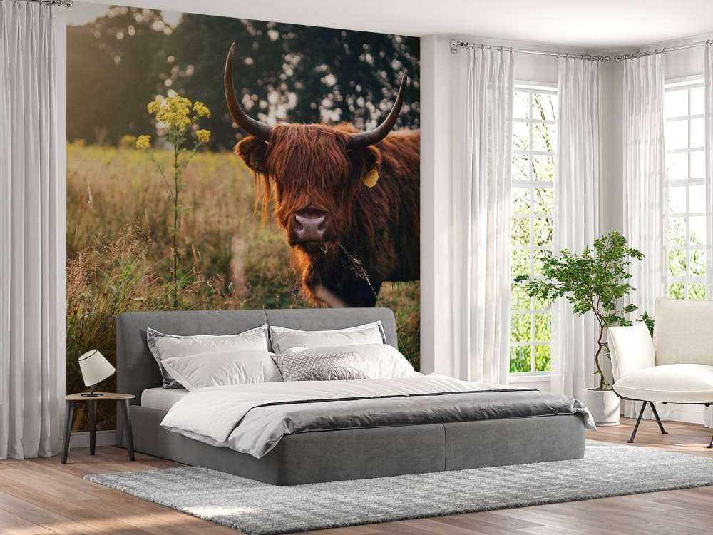 Det skotske høylandet i det høye gresset