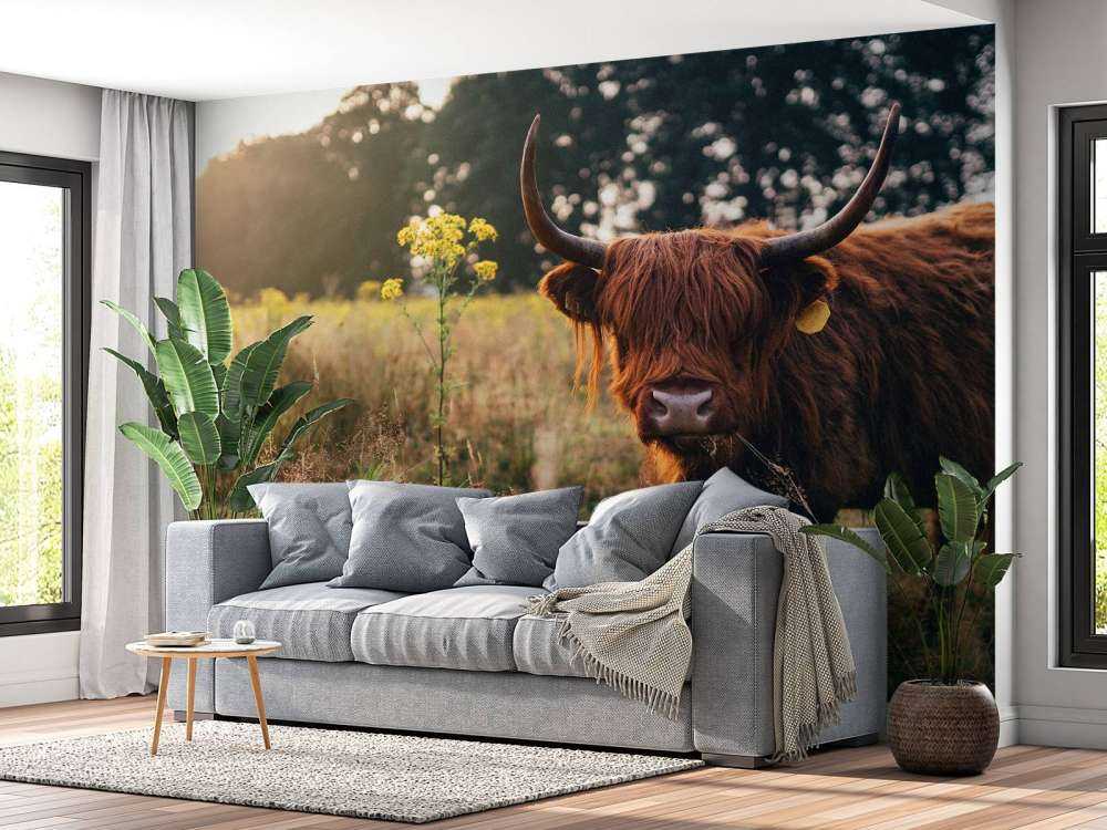 Det skotske høylandet i det høye gresset