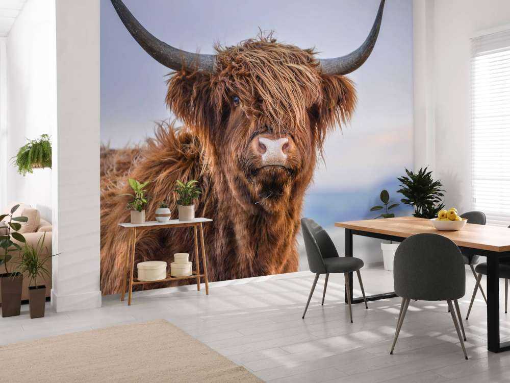 Stirrer det skotske høylandet