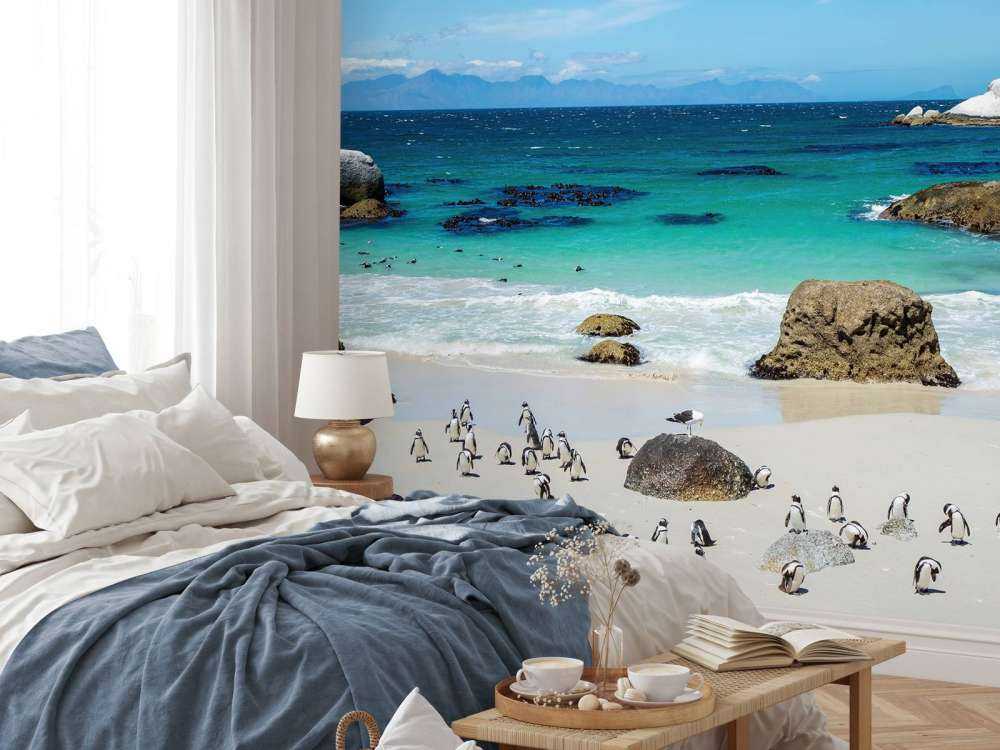 Strand med pingviner