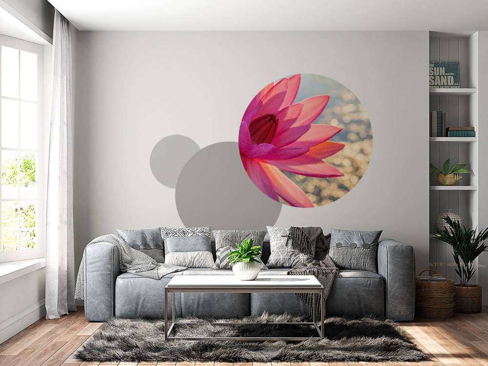 Lotusblomst på vann