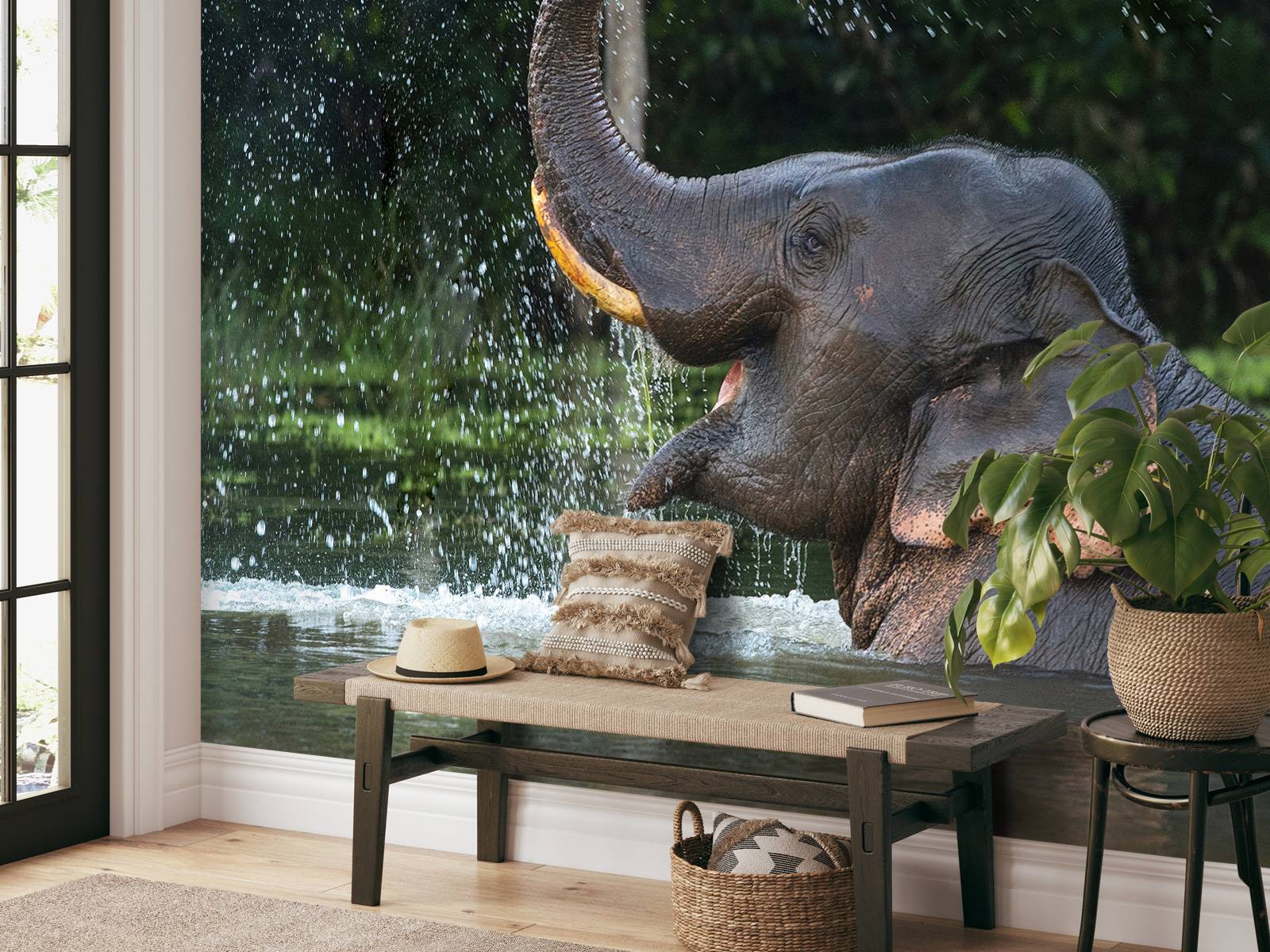 Elefant i vann