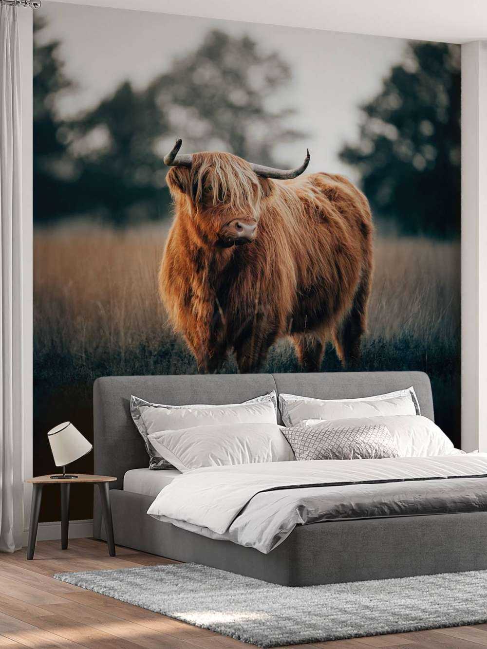 Portrett av høylandsfe