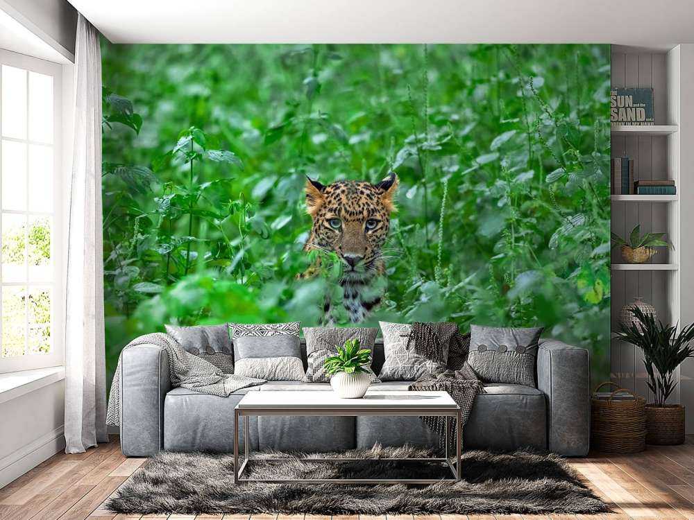 Leopard i skogen