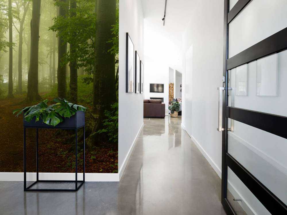 Sti gjennom tåkete grønn skog