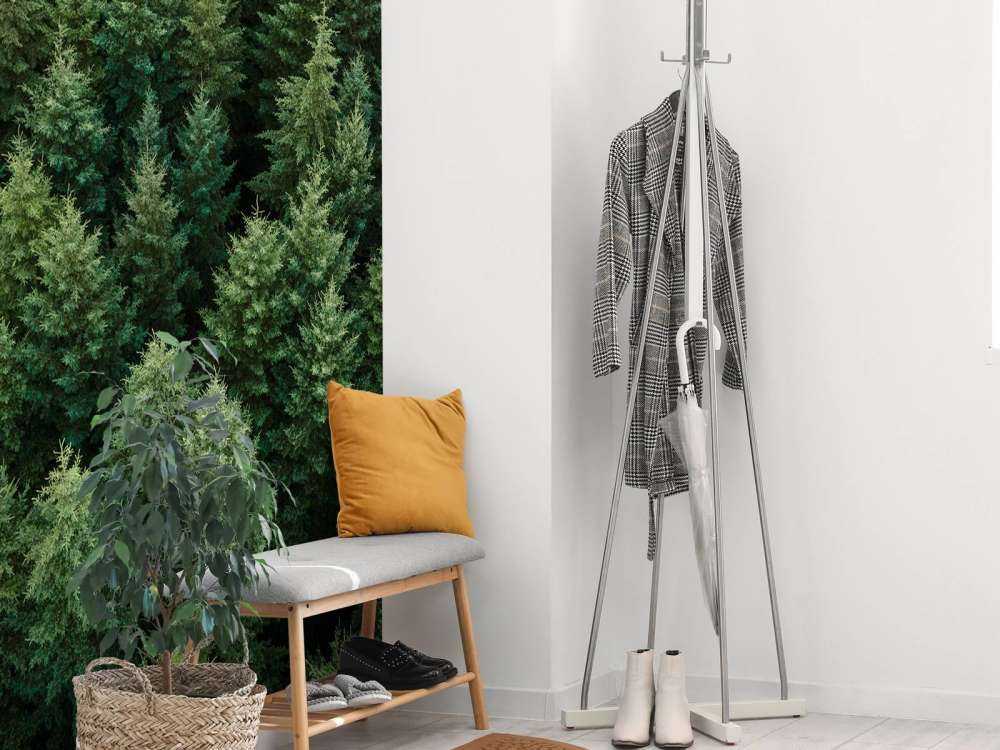 Douglas fyrer ovenfra