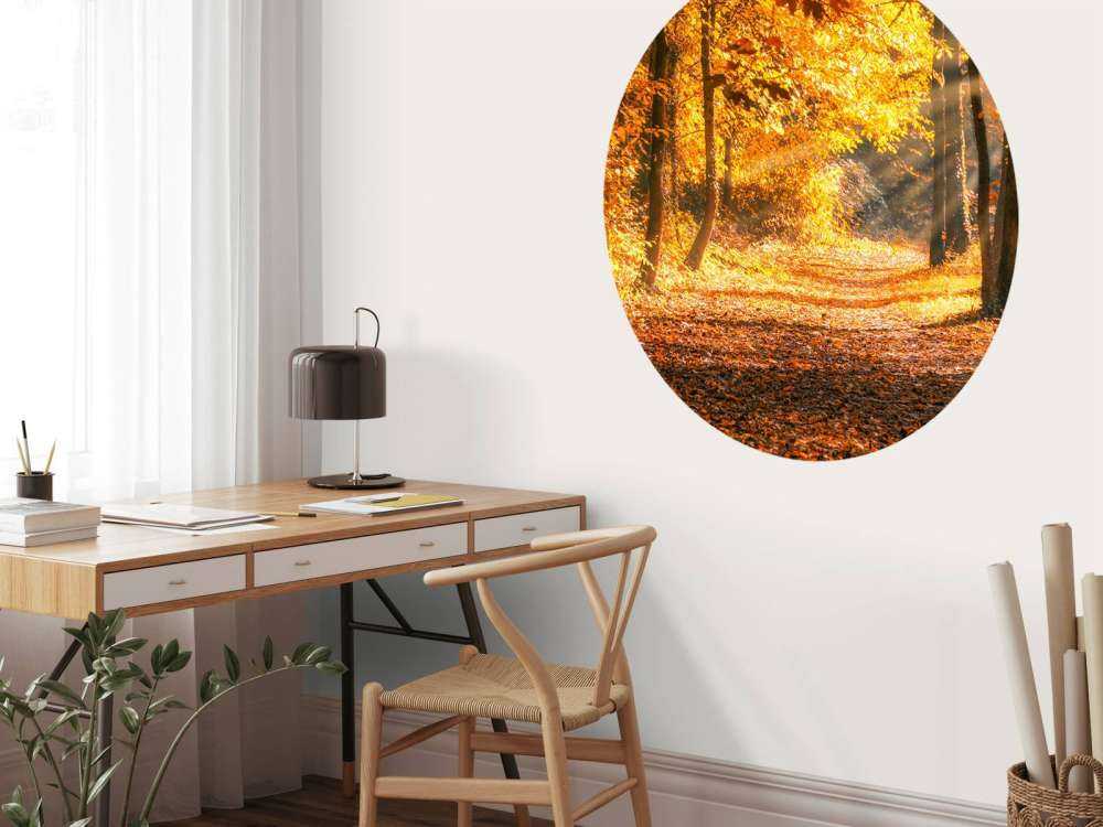 Panorama om høsten