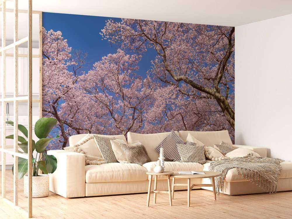 Blomstrer med blå himmel