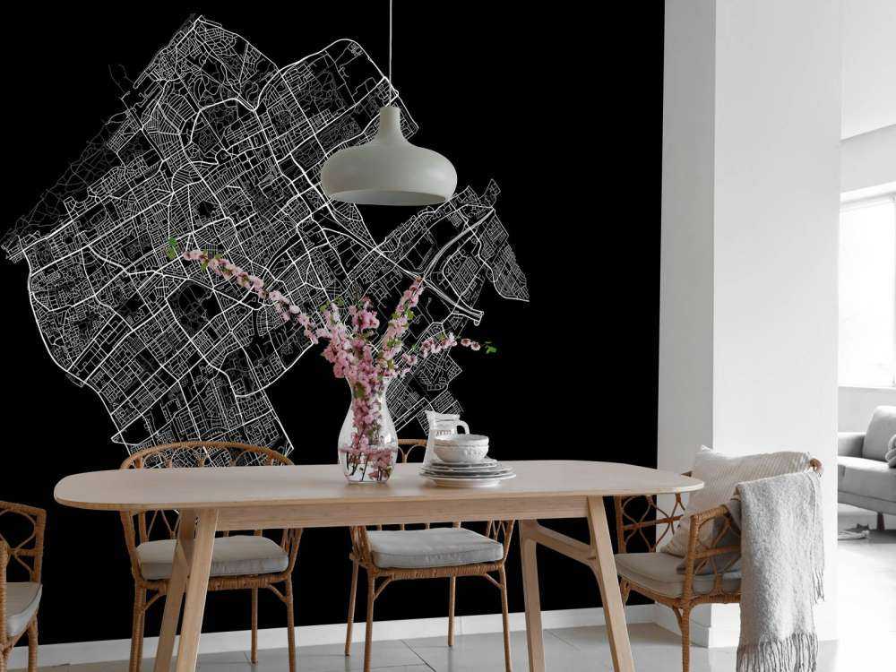 Kart over Haag, svart