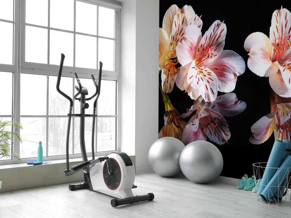 Alstroemeria blomster med refleksjon