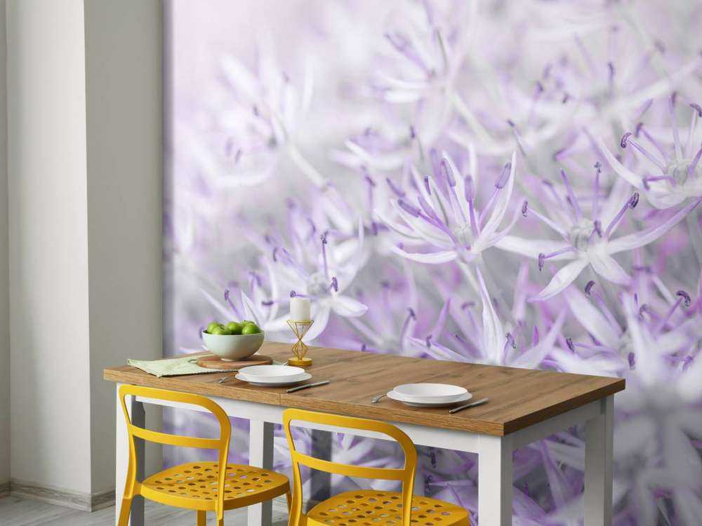 Allium blomster nærbilde