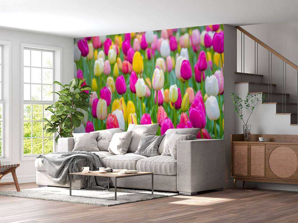 Fargerike tulipaner i en åker