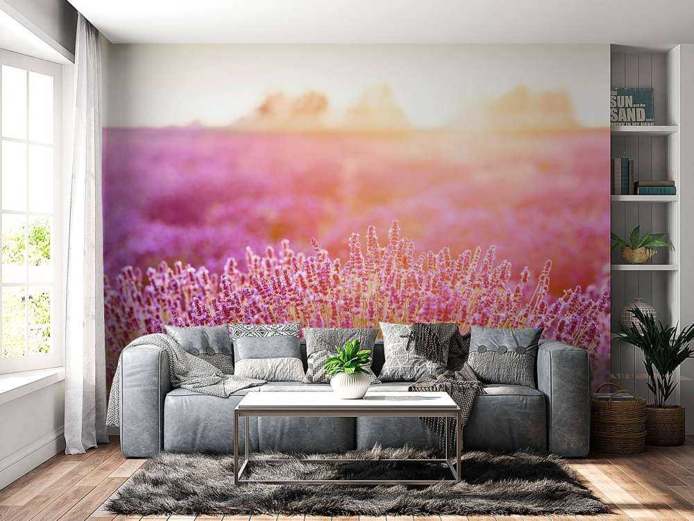 Nærbilde lavendelblomster