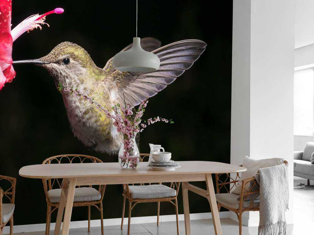 Kolibri med rød blomst