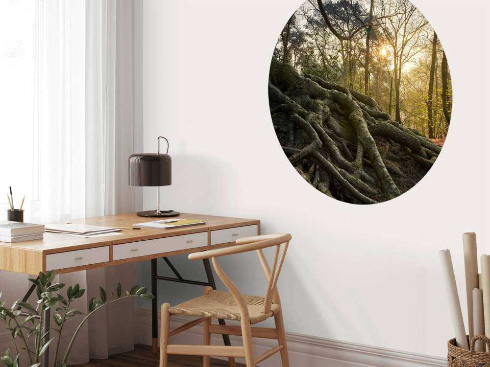 Trerøtter over bakken