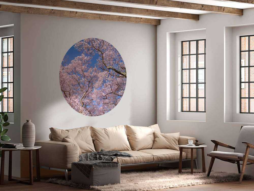 Blomstrer med blå himmel