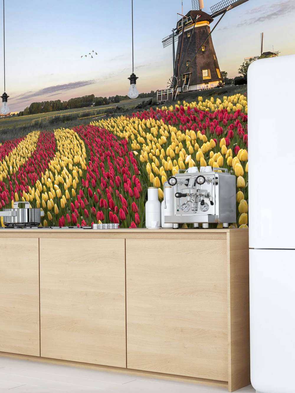 Nederlandsk tulipanfelt