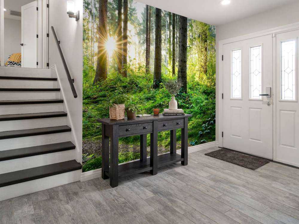 Skogpanorama om våren