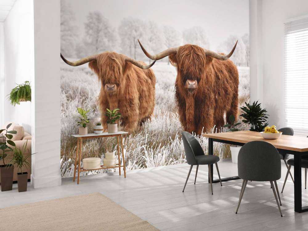 Vinter Høylandskveg