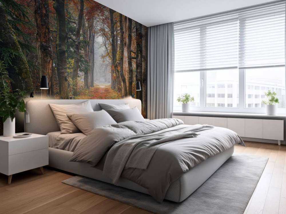 Skogssti med gamle trær