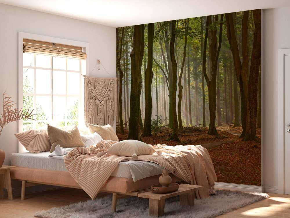 Solstråler på sti gjennom skogen