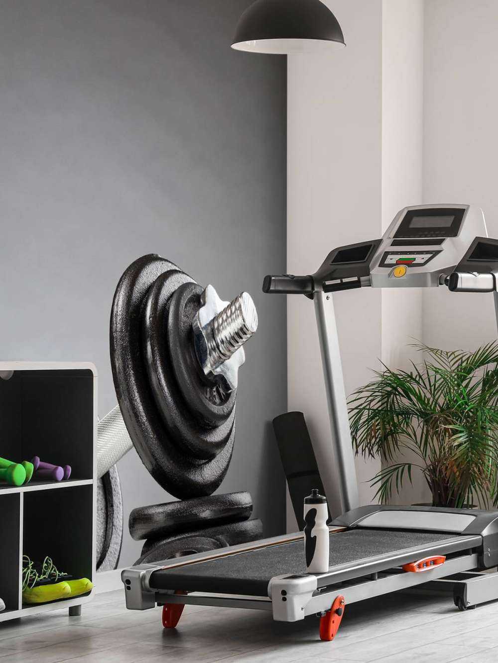 Hantel med svarte plater