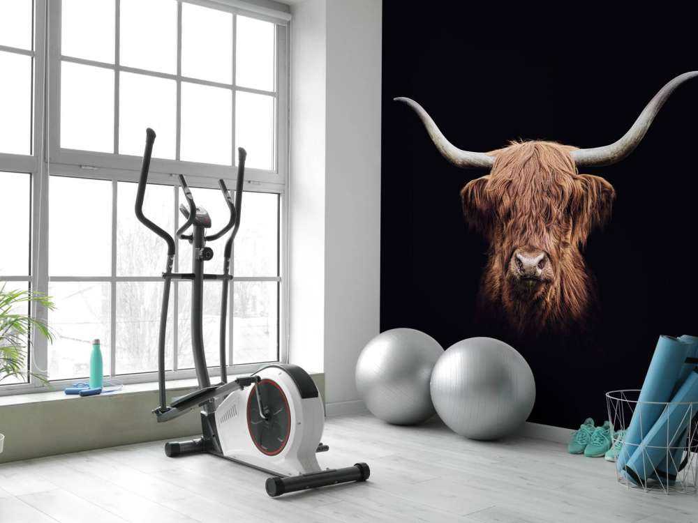 Vintage Scottish Highlands