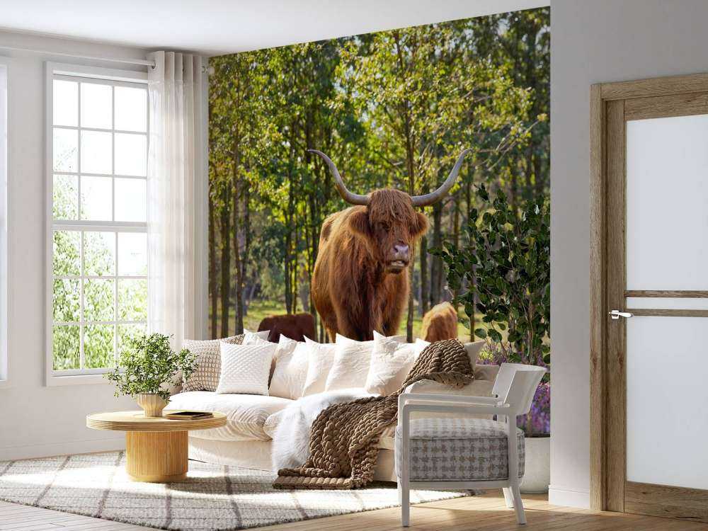 høyland i naturreservat