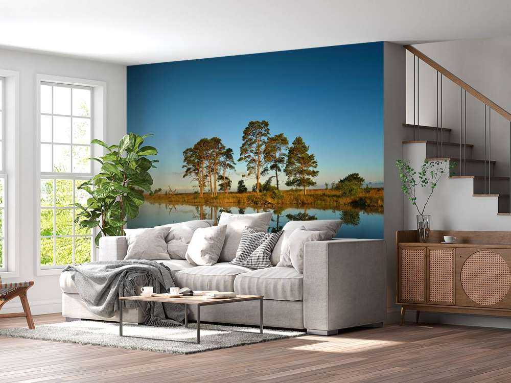 Refleksjon i skogsjøen