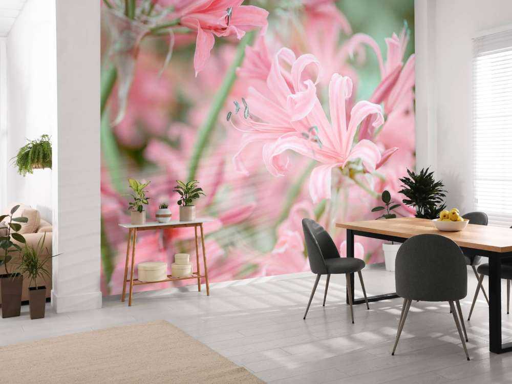 Nerine Blomster