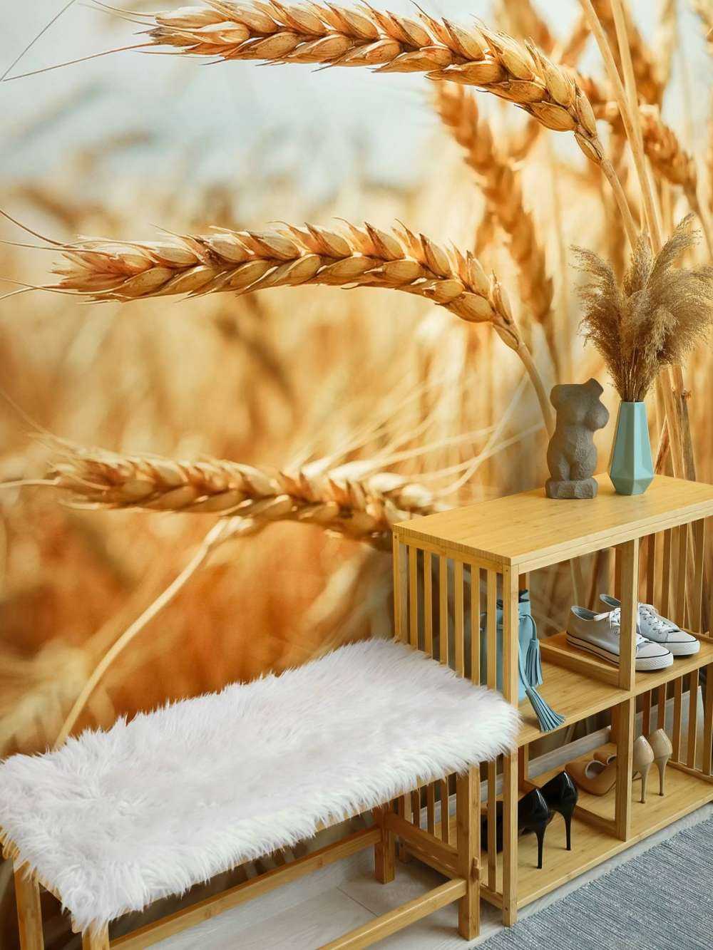 Nærbilde av en kornplante