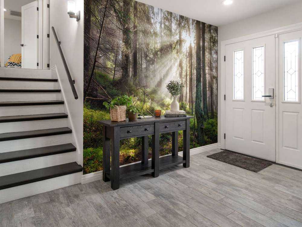 Høstskog med solskinn