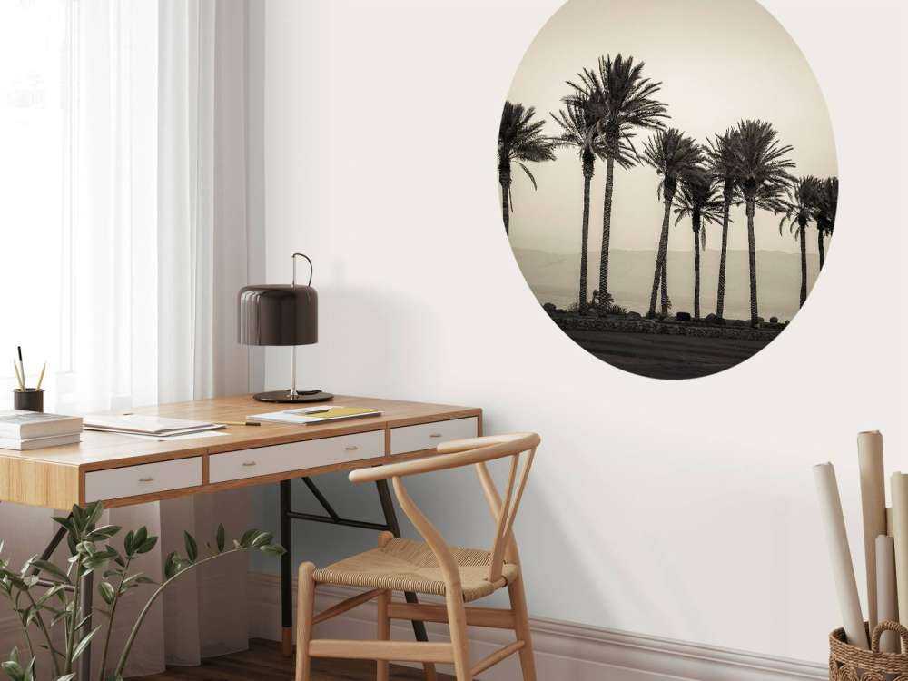 Palmer svart och vitt