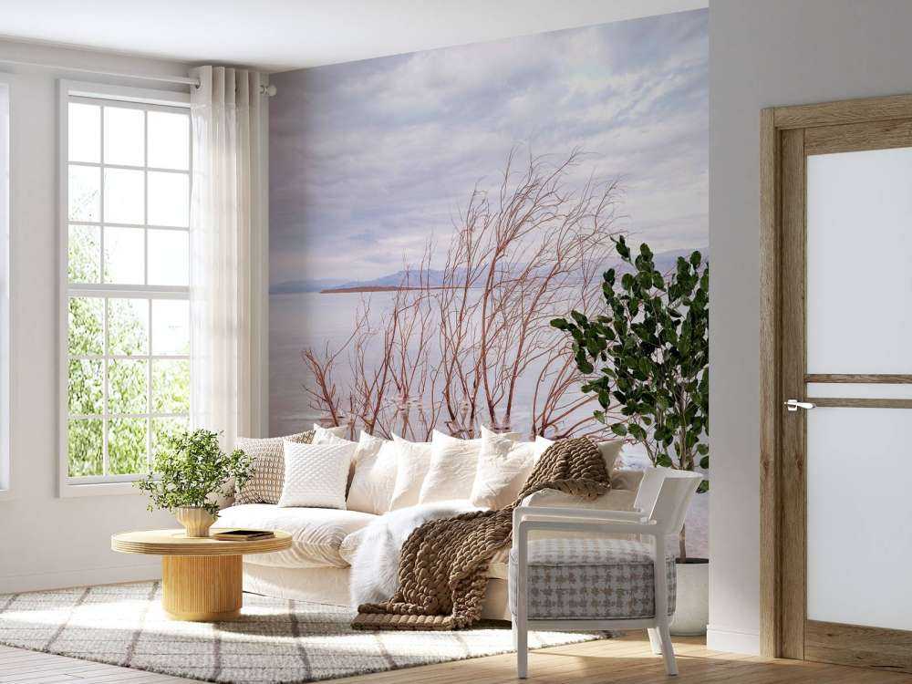 Grenar i Döda havet