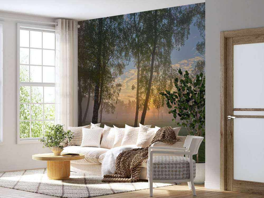 Soluppgång vid björkarna