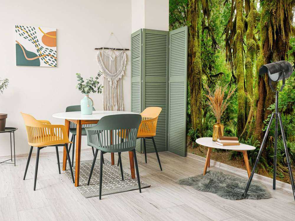 Gammal vildmarksskog