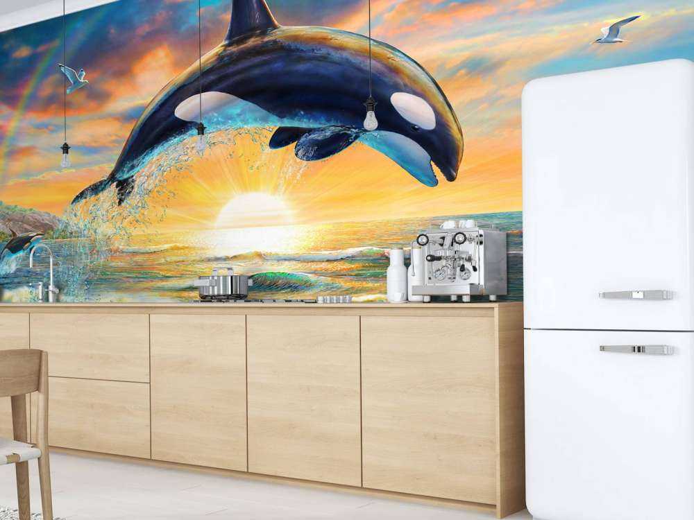 Orca Dawn