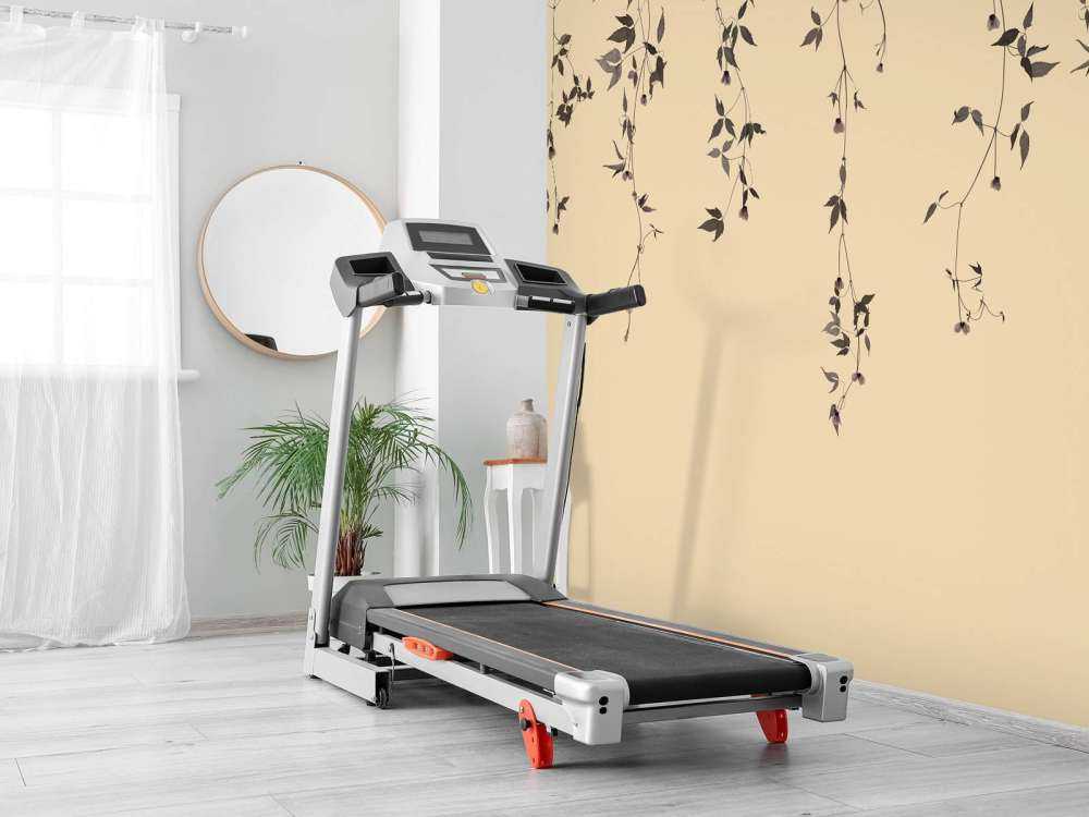 Klematis kvistar på beige